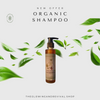 🌿 Organic Shampoo